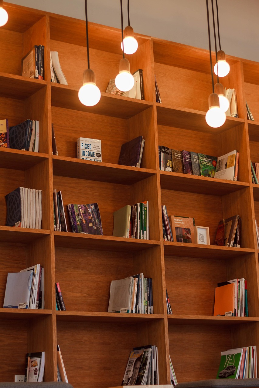 book, shelf, library, school, education, knowledge, light, brown school, brown education, brown library, brown knowledge, shelf, shelf, shelf, library, library, library, library, library